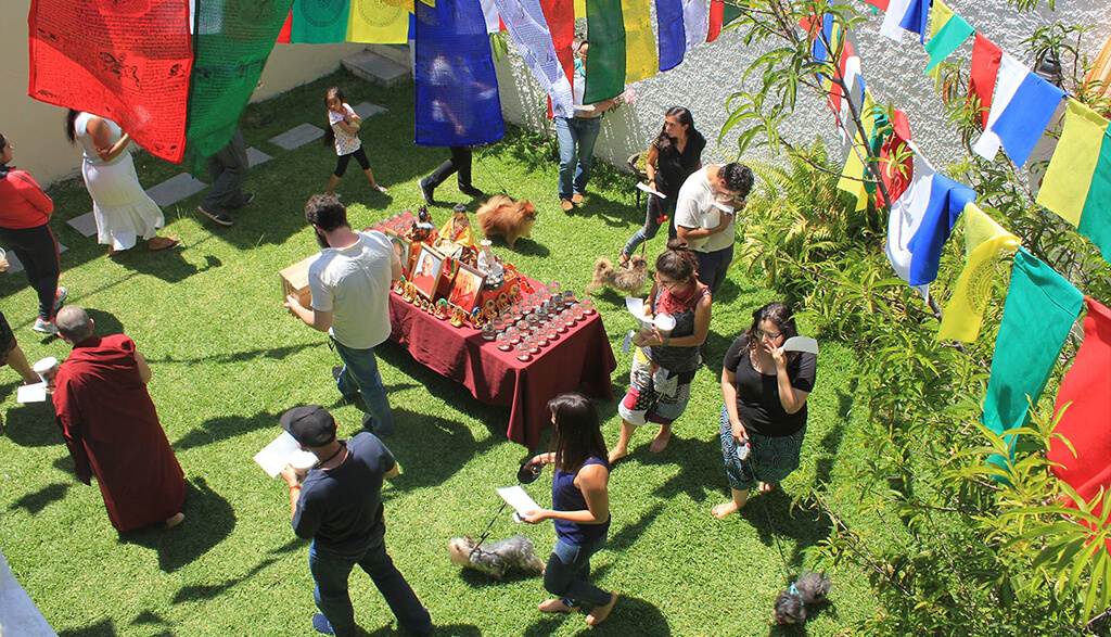 Actividades semanales